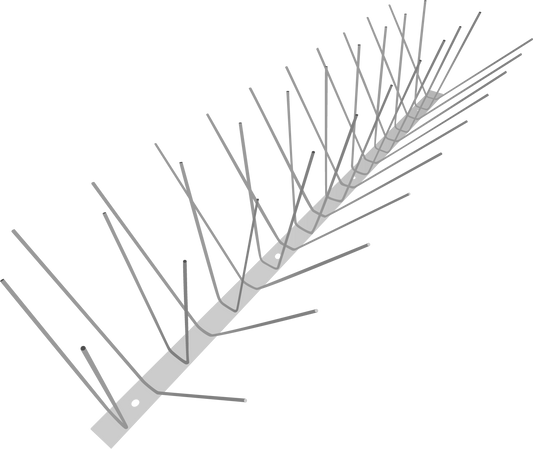 Taubenabwehrdrahtleisten mit Stacheln.